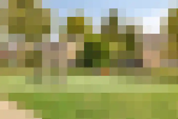 Aerdmennekesbaan 3 Veldhoven thumbnail 31