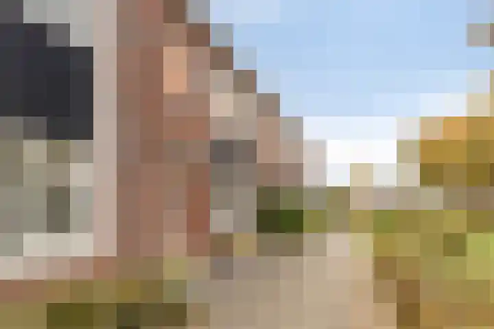 Aerdmennekesbaan 3 Veldhoven thumbnail 33