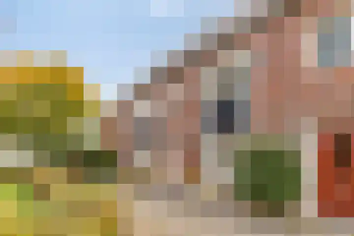 Aerdmennekesbaan 3 Veldhoven thumbnail 34
