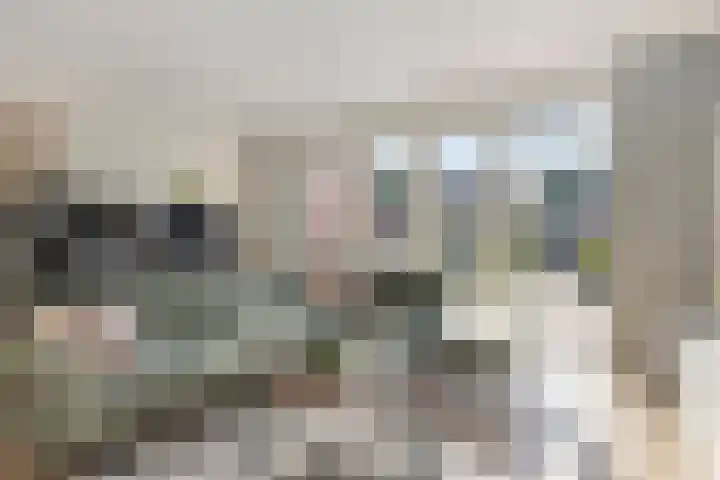 Aerdmennekesbaan 3 Veldhoven thumbnail 5