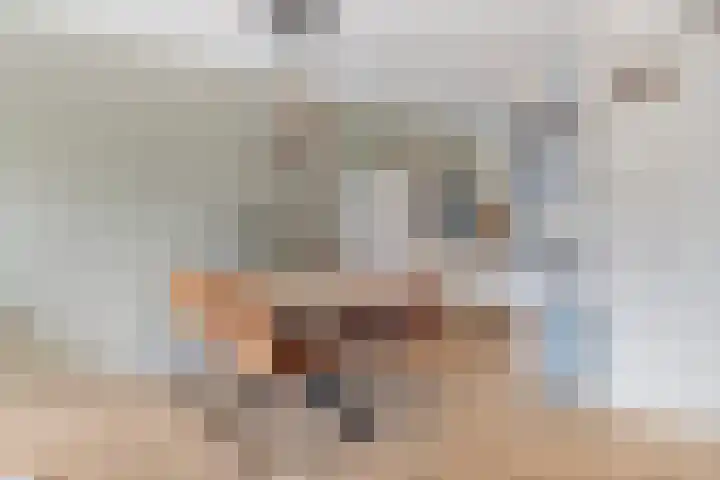 Aerdmennekesbaan 3 Veldhoven thumbnail 7