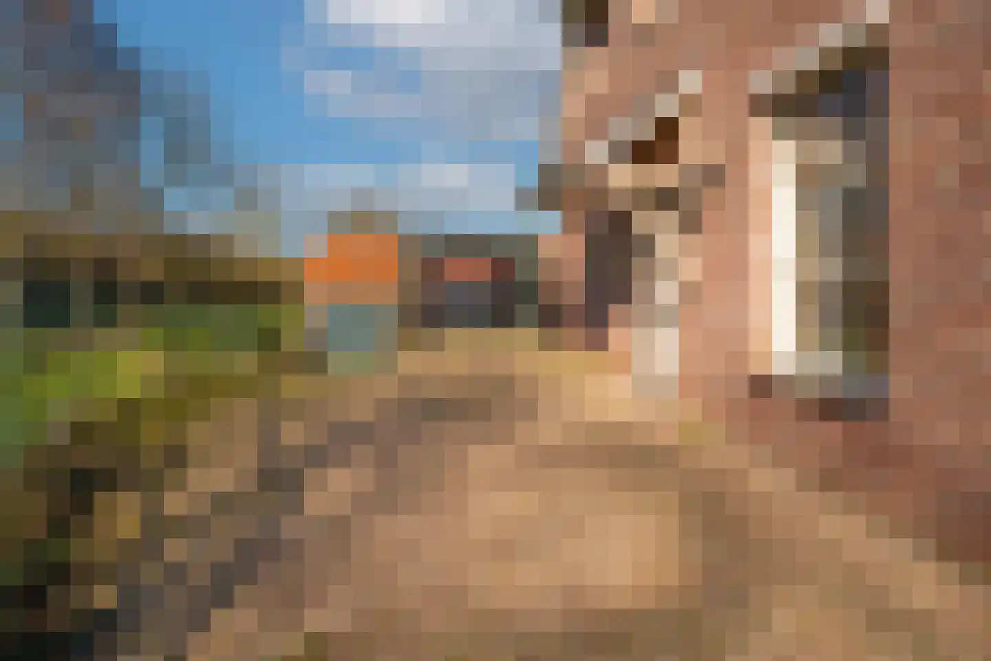 Aerdtsestraat 15 Pannerden thumbnail 10