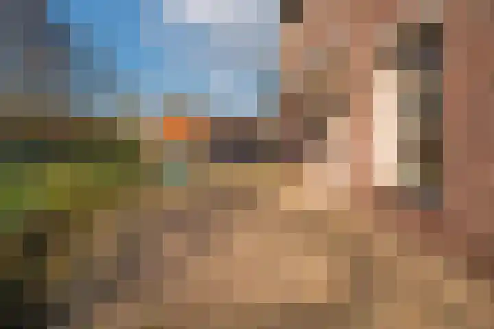 Aerdtsestraat 15 Pannerden thumbnail 10