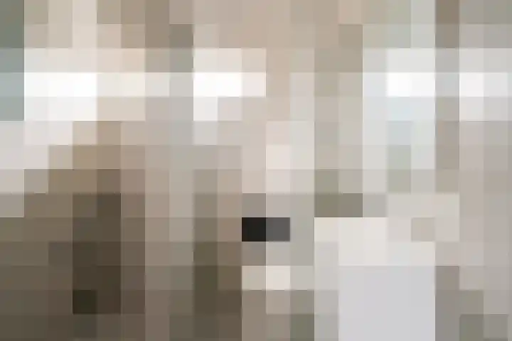 Aerdtsestraat 15 Pannerden thumbnail 18