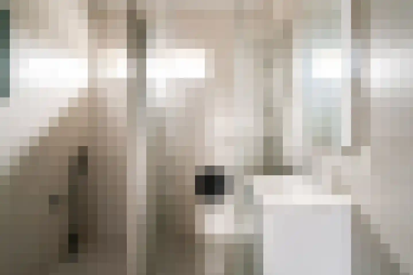 Aerdtsestraat 15 Pannerden thumbnail 18