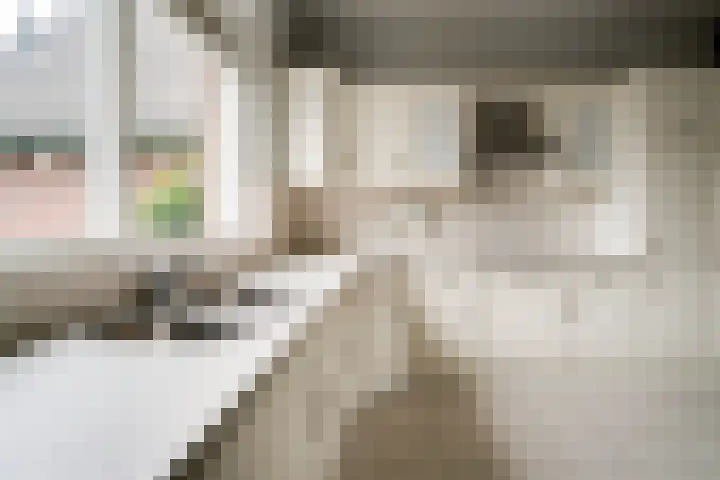 Aerdtsestraat 15 Pannerden thumbnail 24