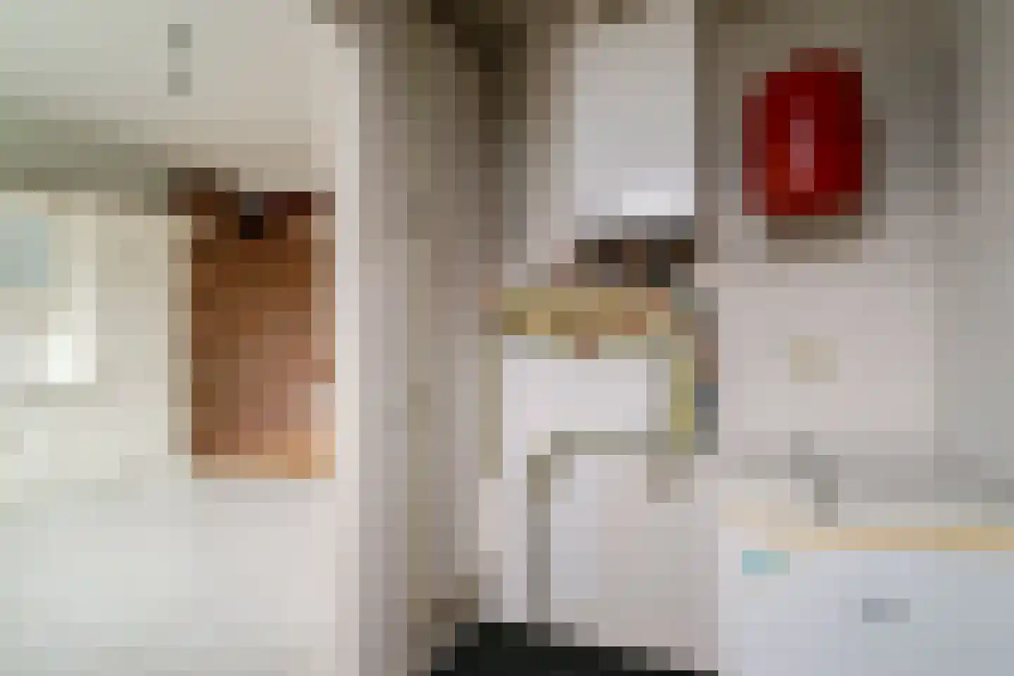 Aerdtsestraat 15 Pannerden thumbnail 26