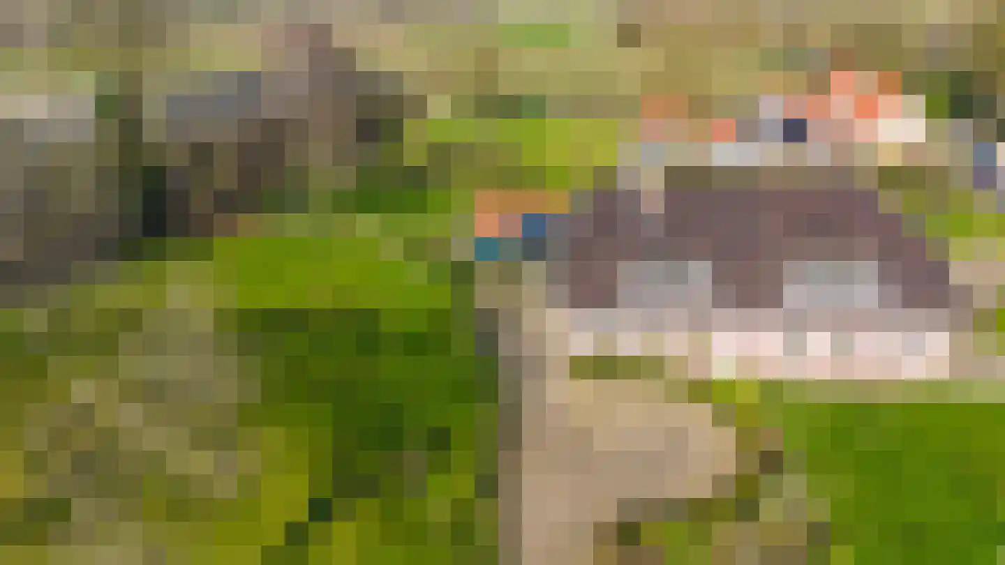 Aerdtsestraat 15 Pannerden thumbnail 31