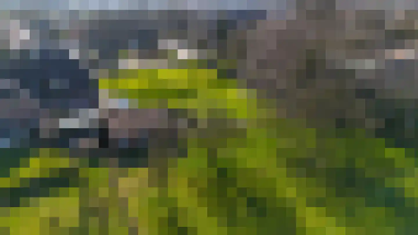 Aerdtsestraat 15 Pannerden thumbnail 33