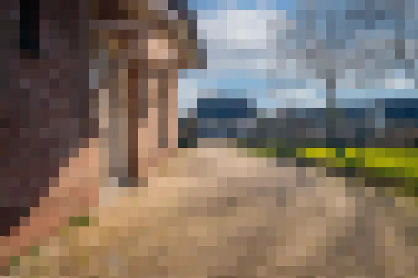 Aerdtsestraat 15 Pannerden thumbnail 35