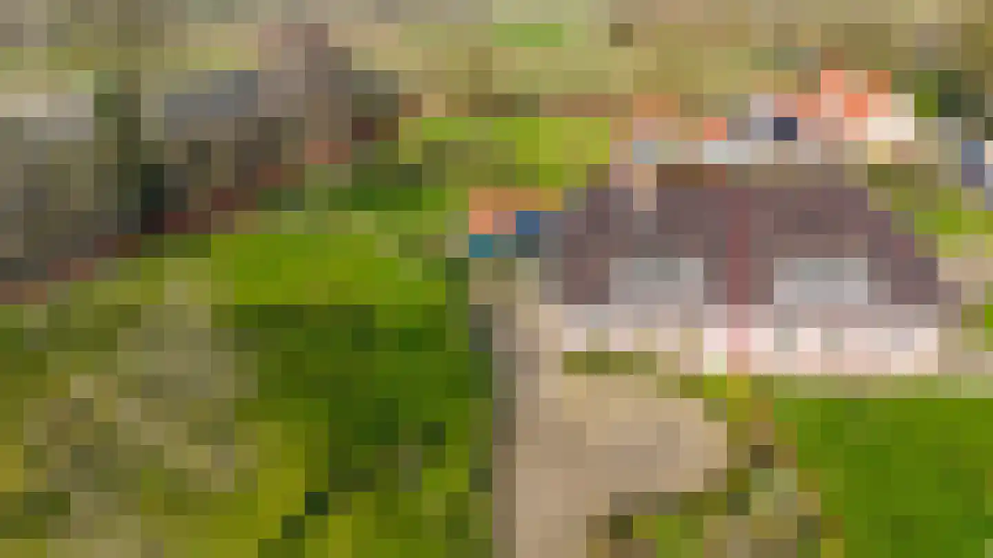 Aerdtsestraat 15 Pannerden thumbnail 4