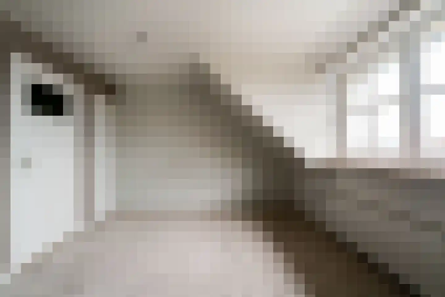 Aerdtsestraat 15 Pannerden thumbnail 46