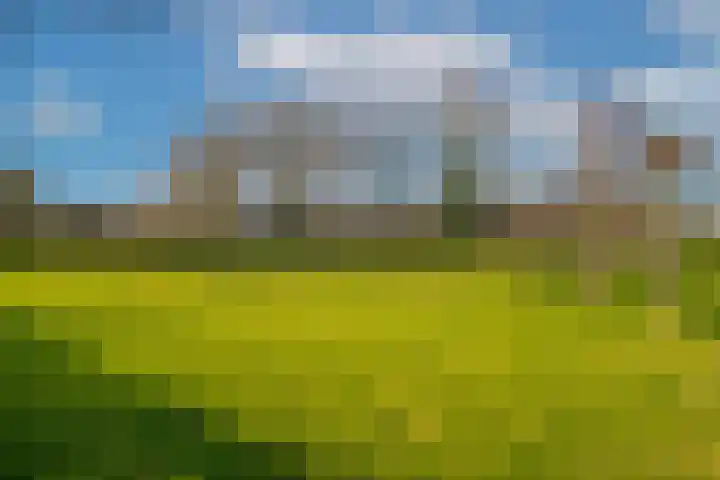 Aerdtsestraat 15 Pannerden thumbnail 7