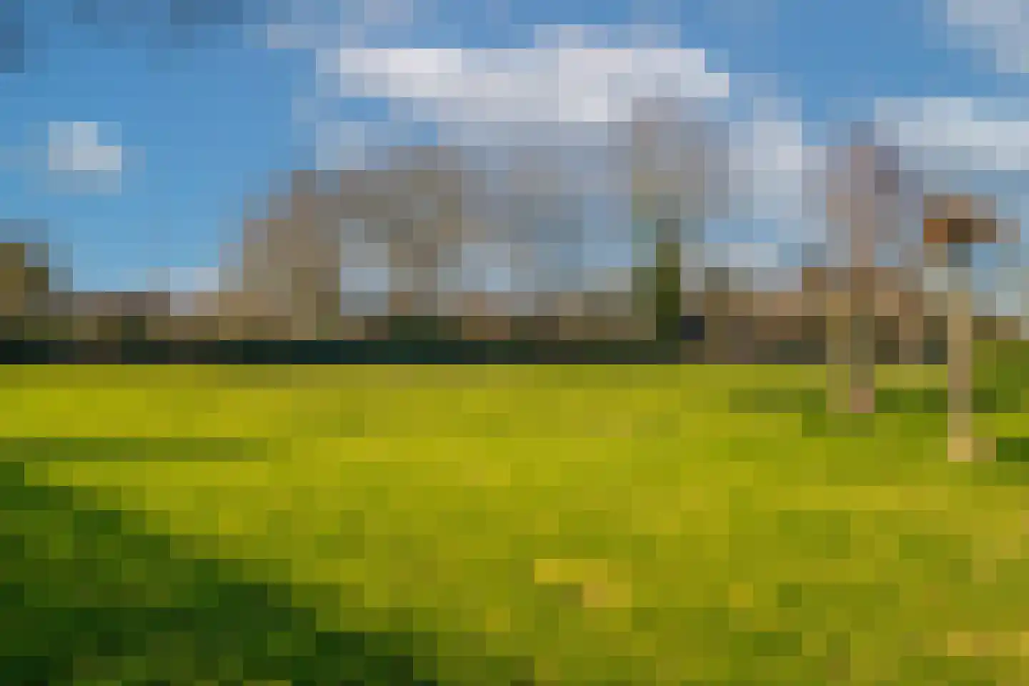 Aerdtsestraat 15 Pannerden thumbnail 7