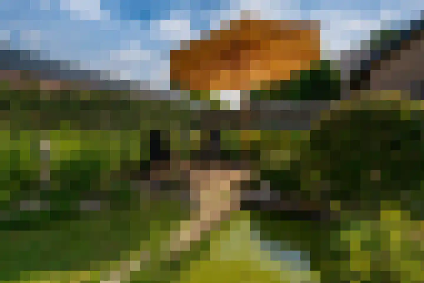 Aerdtsestraat 7 Pannerden thumbnail 29