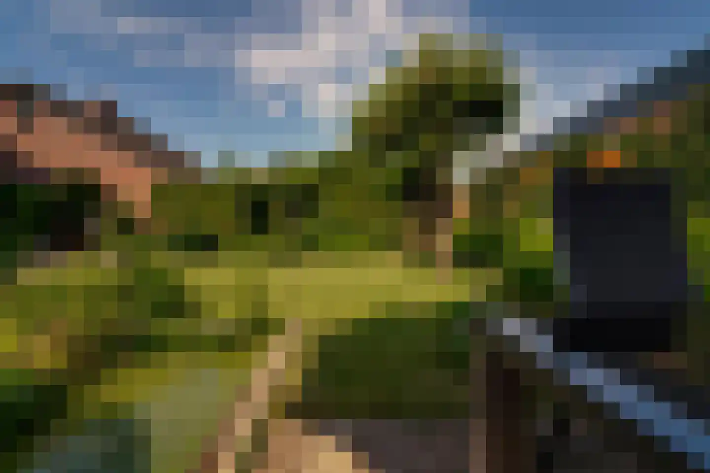 Aerdtsestraat 7 Pannerden thumbnail 32