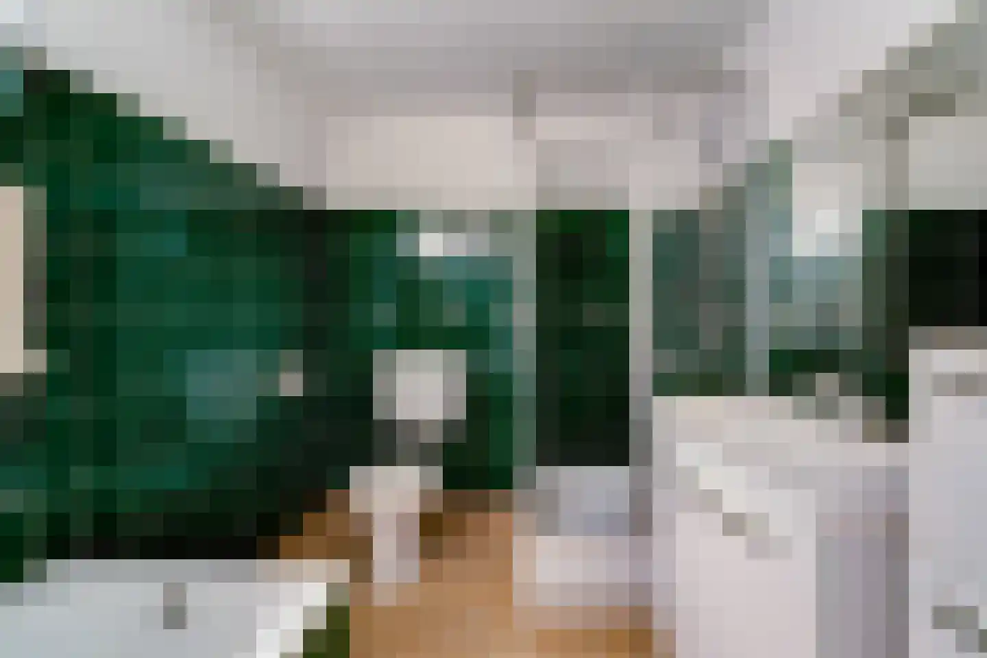 Aerdtsestraat 7 Pannerden thumbnail 36