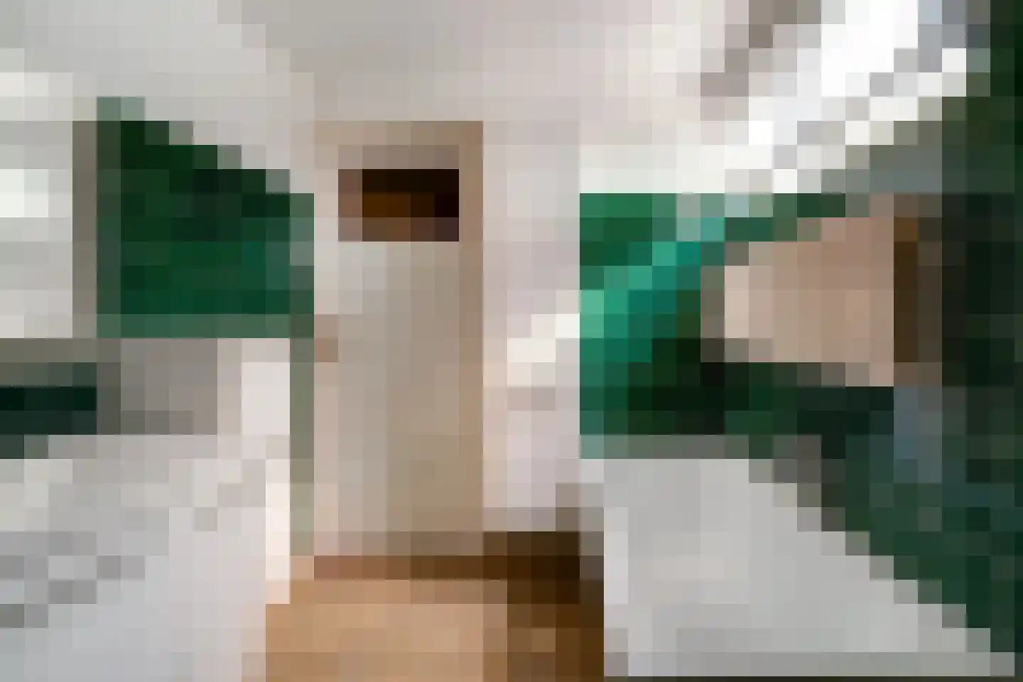 Aerdtsestraat 7 Pannerden thumbnail 37