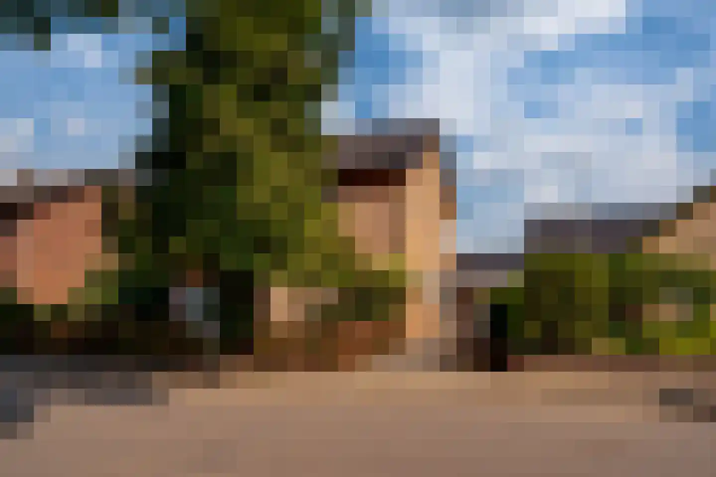 Aerdtsestraat 7 Pannerden thumbnail 5