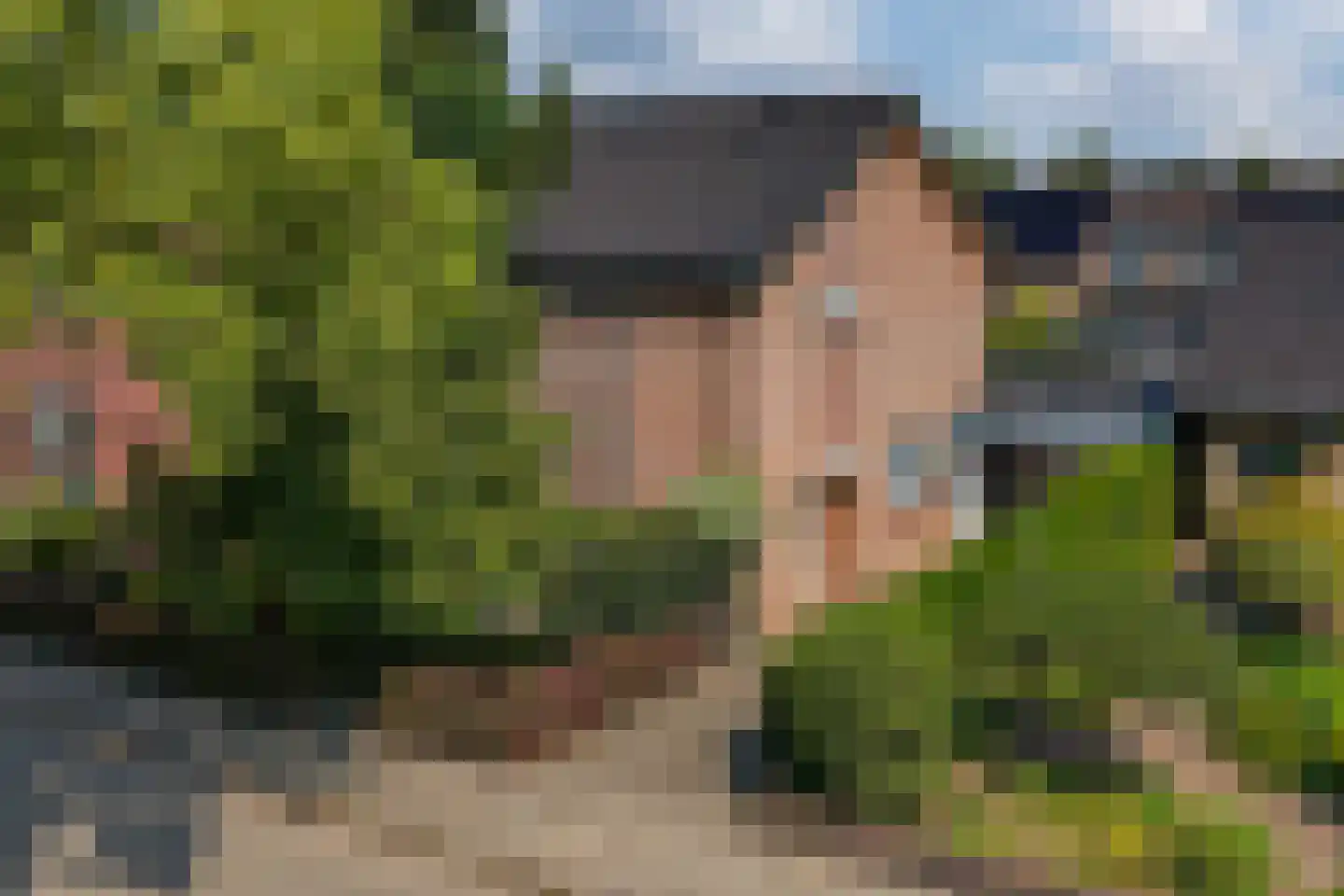 Aerdtsestraat 7 Pannerden thumbnail 6