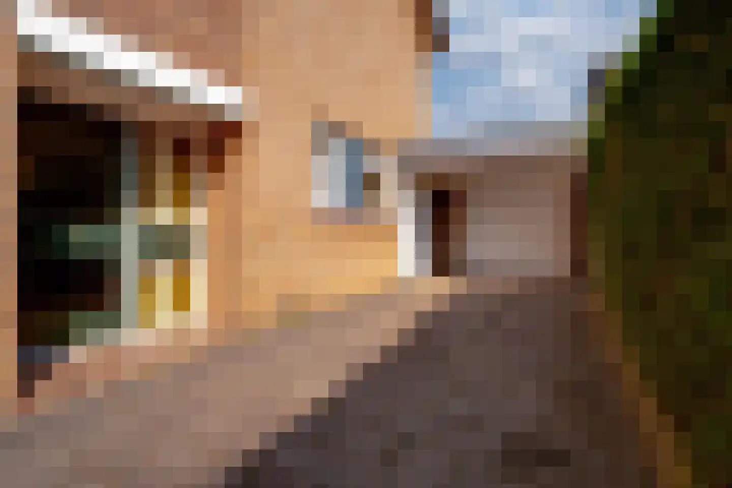 Aerdtsestraat 7 Pannerden thumbnail 9