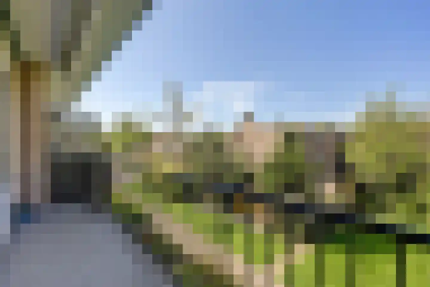 Aernt Bruunstraat 26 Rotterdam thumbnail 20