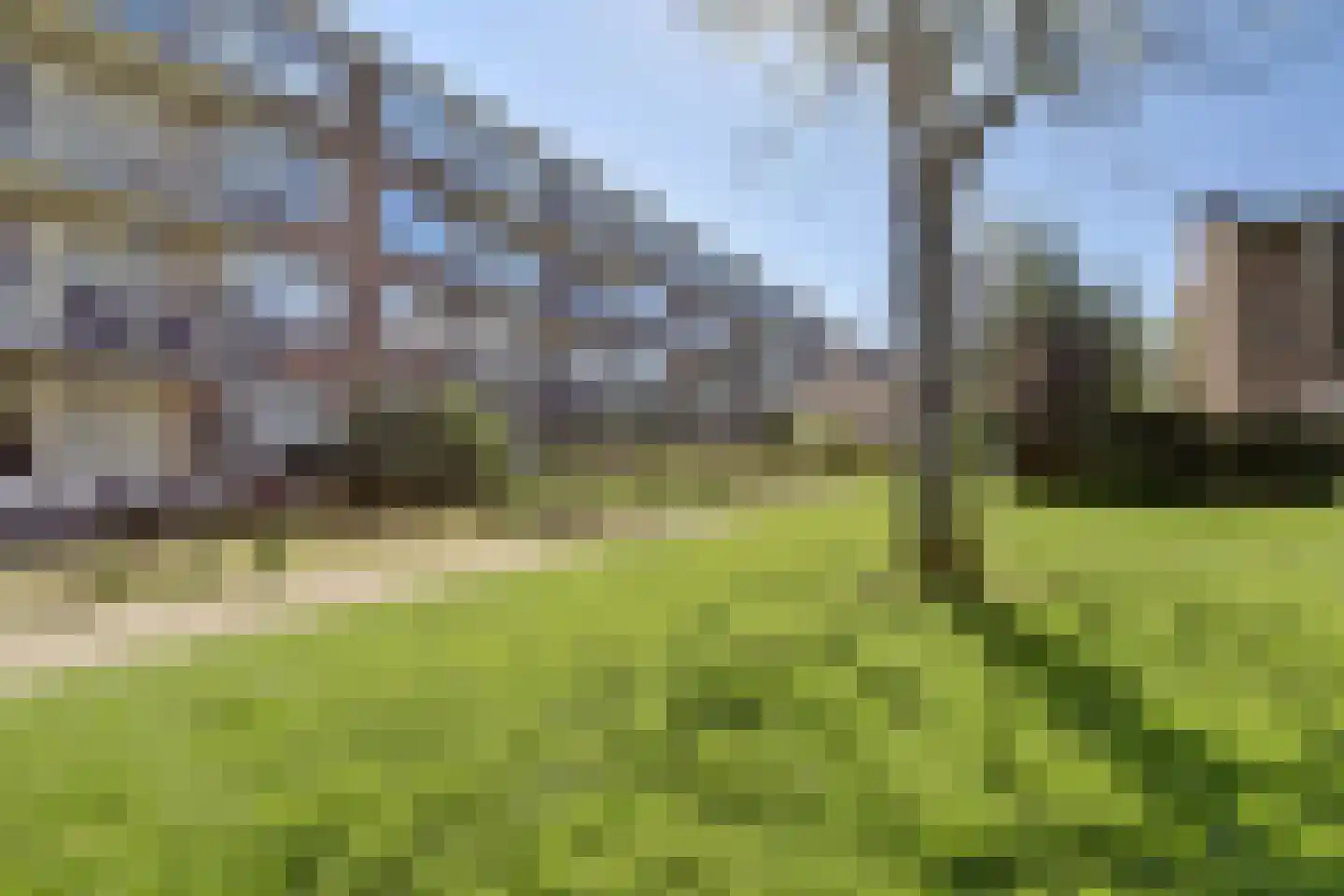 Aernt Bruunstraat 26 Rotterdam thumbnail 30