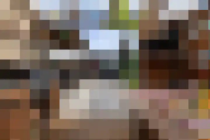 Aerssenstraat 9 Etten-Leur thumbnail 33