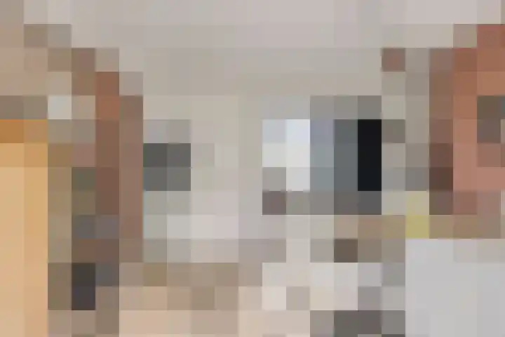 Aert de Gelderlaan 110 Alkmaar thumbnail 14
