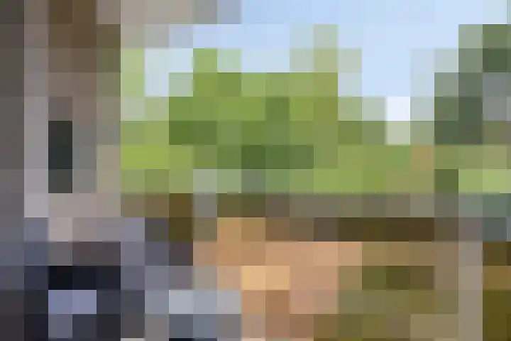 Aert de Gelderlaan 110 Alkmaar thumbnail 21
