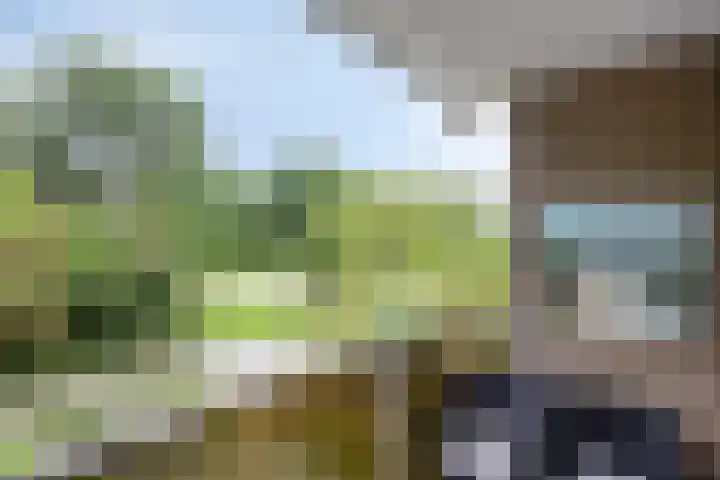 Aert de Gelderlaan 110 Alkmaar thumbnail 22