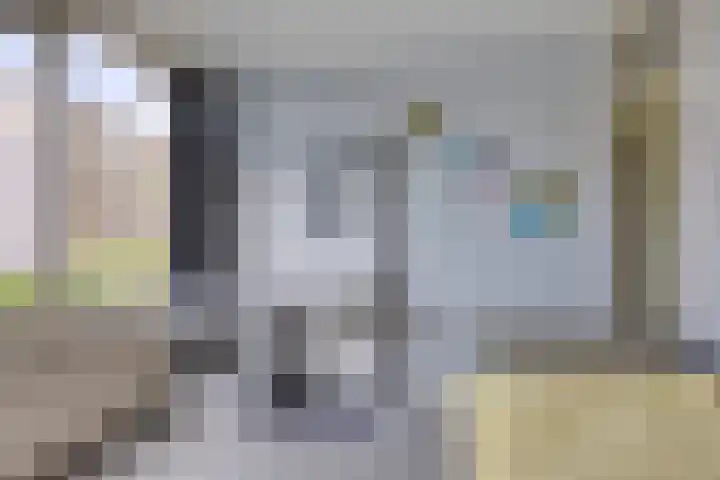 Aert de Gelderlaan 110 Alkmaar thumbnail 26