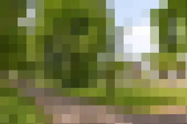 Aert de Gelderlaan 110 Alkmaar thumbnail 28