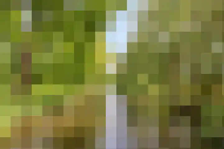Aert de Gelderlaan 110 Alkmaar thumbnail 29