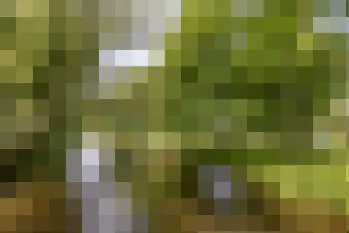 Aert de Gelderlaan 110 Alkmaar thumbnail 30