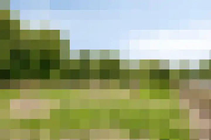 Aert de Gelderlaan 110 Alkmaar thumbnail 31