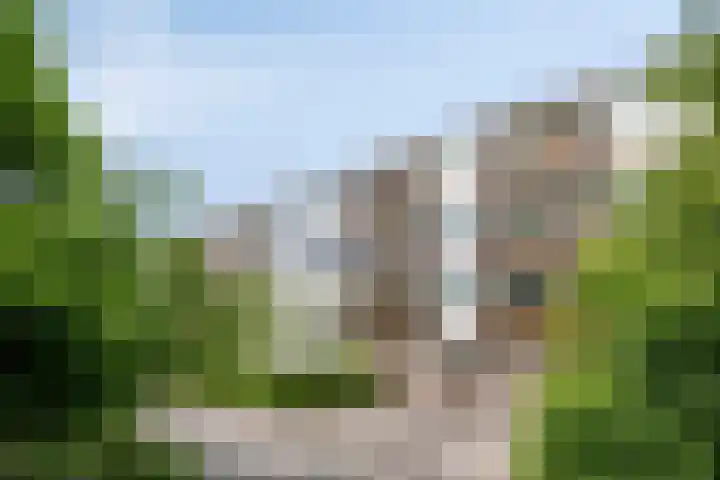 Aert de Gelderlaan 110 Alkmaar thumbnail 36