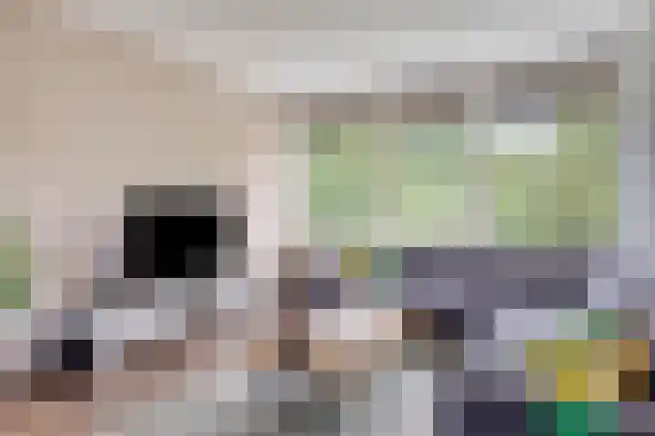 Aert de Gelderlaan 110 Alkmaar thumbnail 6