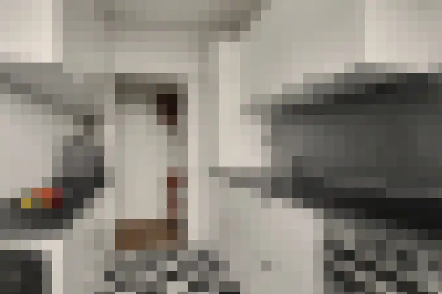 Aert de Gelderlaan 128 Alkmaar thumbnail 19