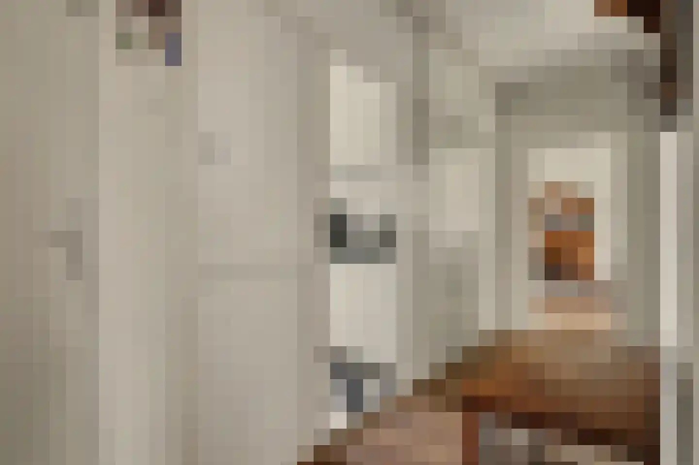 Aert de Gelderlaan 128 Alkmaar thumbnail 7
