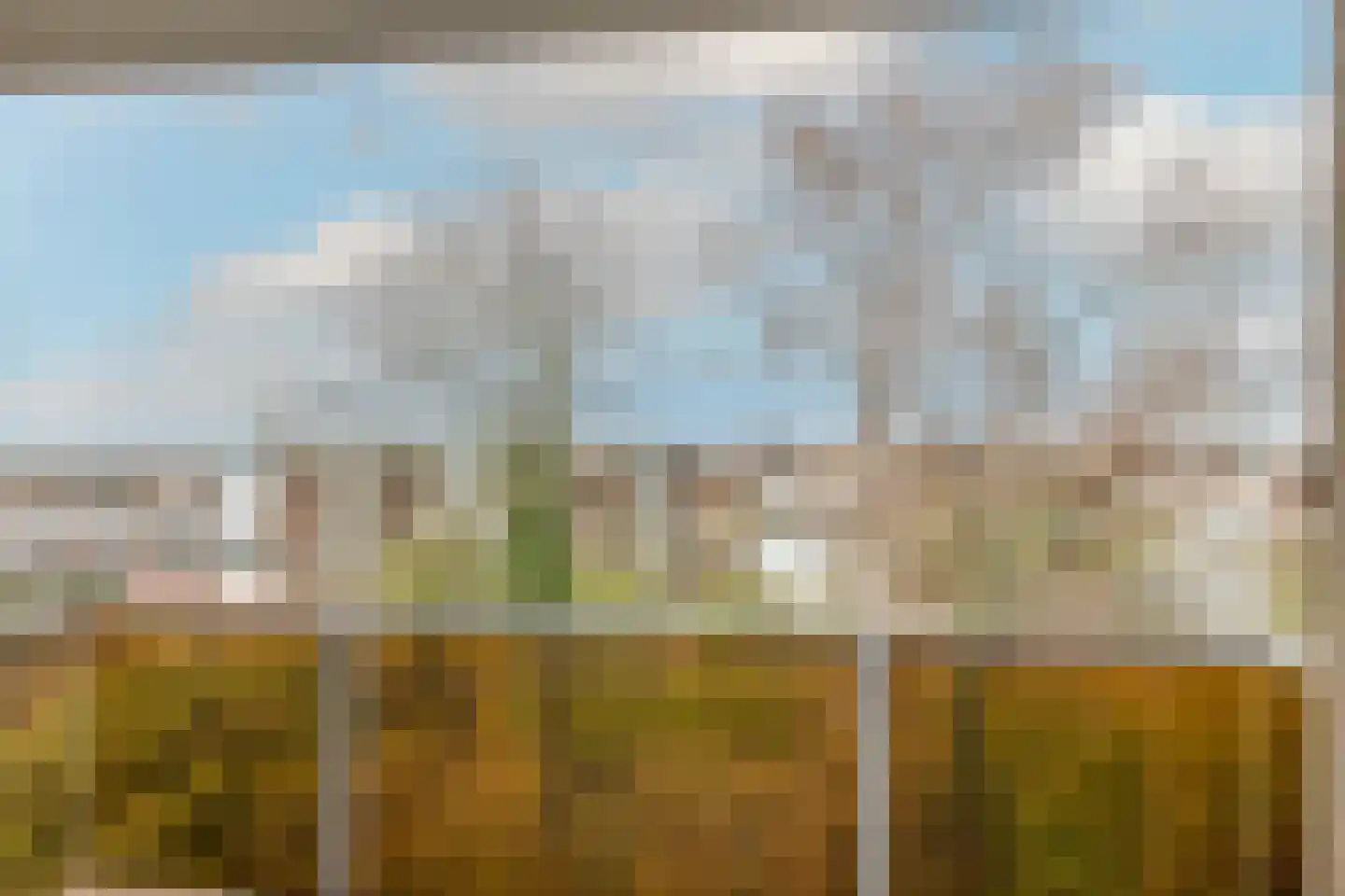 Aert de Gelderlaan 240 Alkmaar thumbnail 17