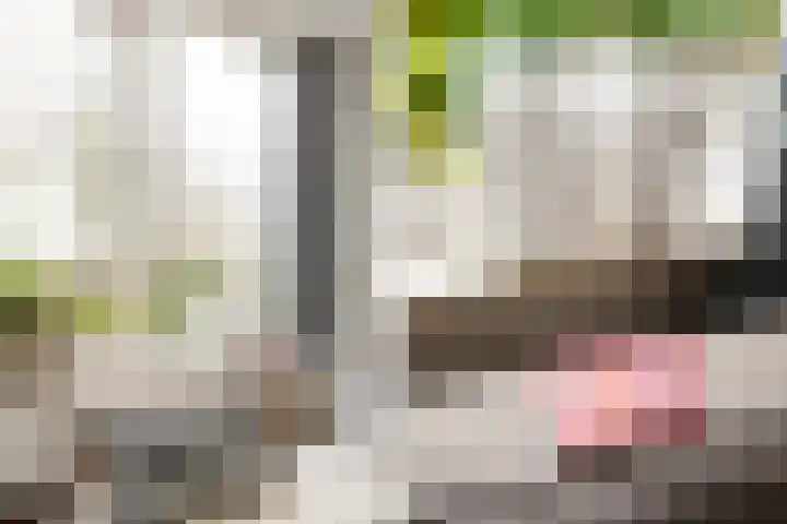 Aert de Gelderlaan 300 Alkmaar thumbnail 13
