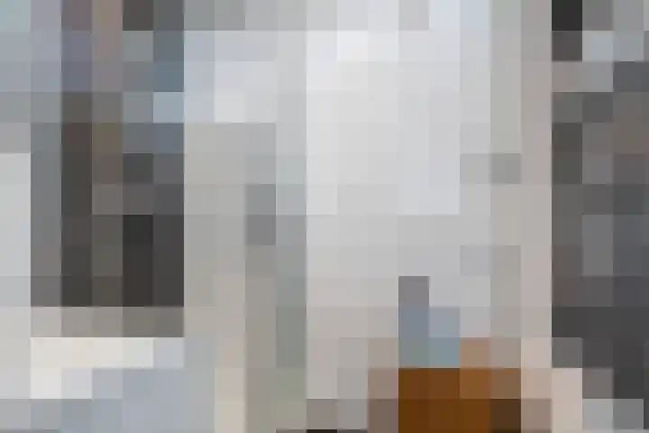 Aert de Gelderlaan 300 Alkmaar thumbnail 24