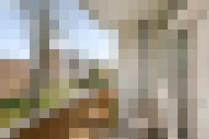 Aert de Gelderlaan 300 Alkmaar thumbnail 26