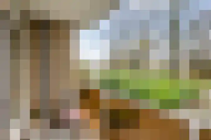Aert de Gelderlaan 300 Alkmaar thumbnail 34