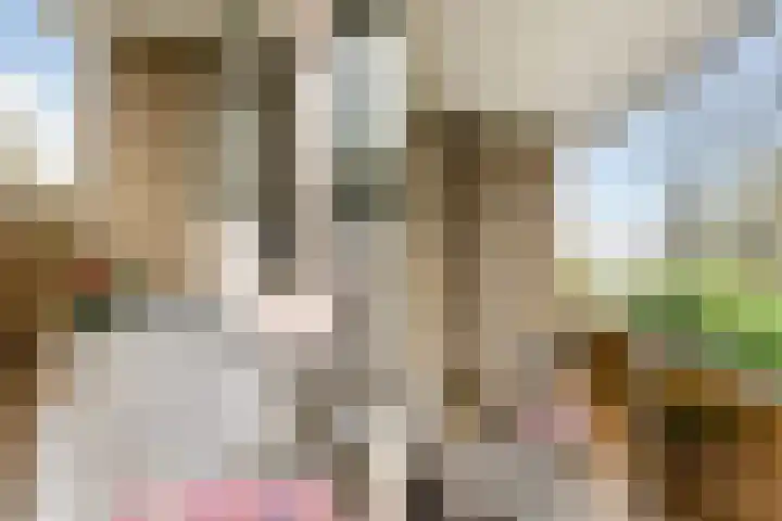 Aert de Gelderlaan 300 Alkmaar thumbnail 35