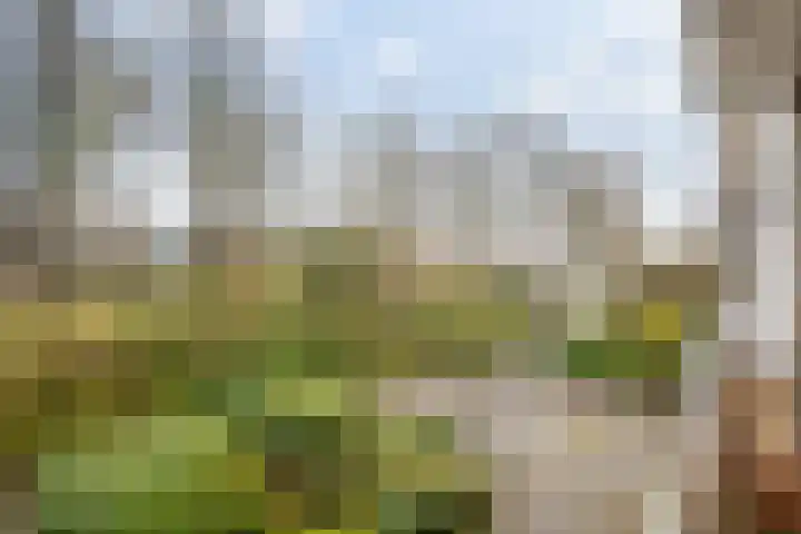 Aert de Gelderlaan 300 Alkmaar thumbnail 36
