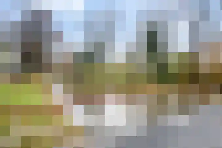 Aert de Gelderlaan 300 Alkmaar thumbnail 38