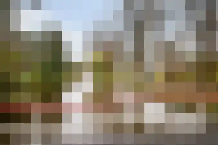 Aert de Gelderlaan 300 Alkmaar thumbnail 39