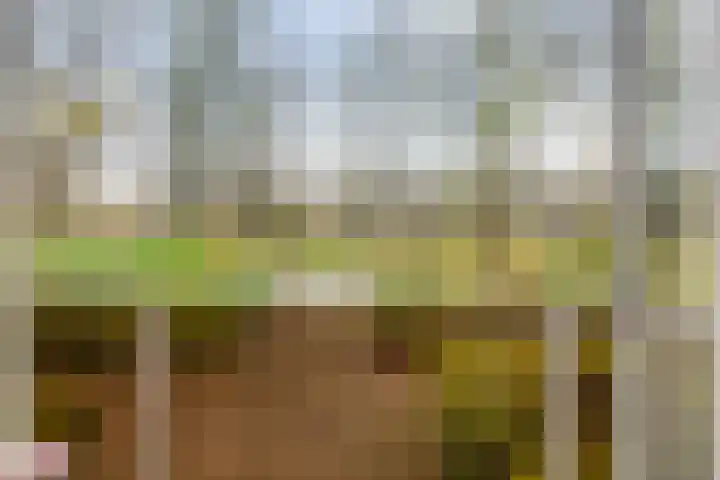 Aert de Gelderlaan 300 Alkmaar thumbnail 4